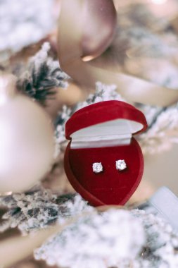 Zarif dimond mücevherler, onun için mükemmel bir tatil hediye Noel