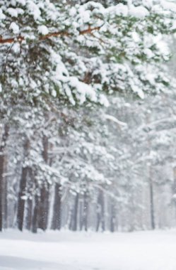 Noel zamanı güzel kış sezon sahnede