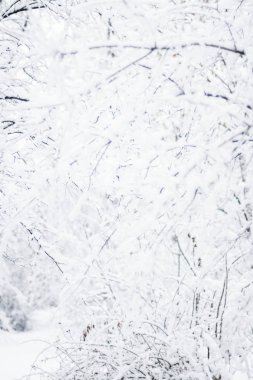 Noel zamanı güzel kış sezon sahnede