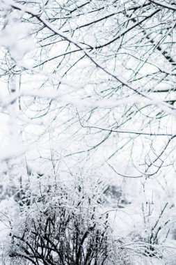 Noel zamanı güzel kış sezon sahnede