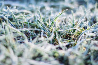 Noel zamanı güzel kış sezon sahnede