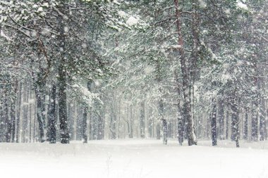 Noel zamanı güzel kış sezon sahnede