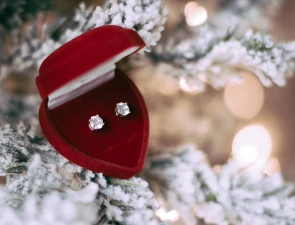 우아한 다이아몬드 크리스마스에 그녀를 크리스마스 — 스톡 사진