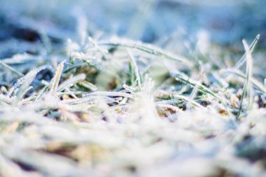 Noel zamanı güzel kış sezon sahnede