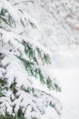 Noel zamanı güzel kış sezon sahnede