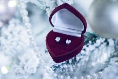 Zarif dimond mücevherler, onun için mükemmel bir tatil hediye Noel