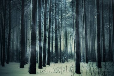 Gece yarısı karanlık kış sezon sahnede