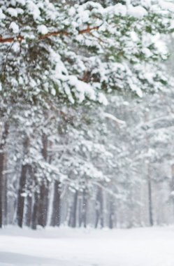 Noel zamanı güzel kış sezon sahnede