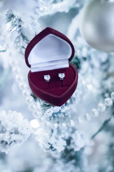 Elegante Dimond Sieraden Een Perfecte Vakantiegift Voor Haar Kerstmis — Stockfoto