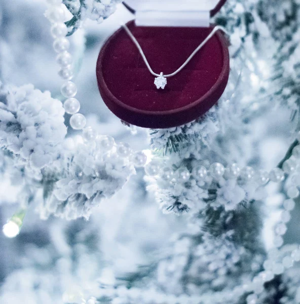 Zarif Dimond Mücevherler Onun Için Mükemmel Bir Tatil Hediye Noel — Stok fotoğraf