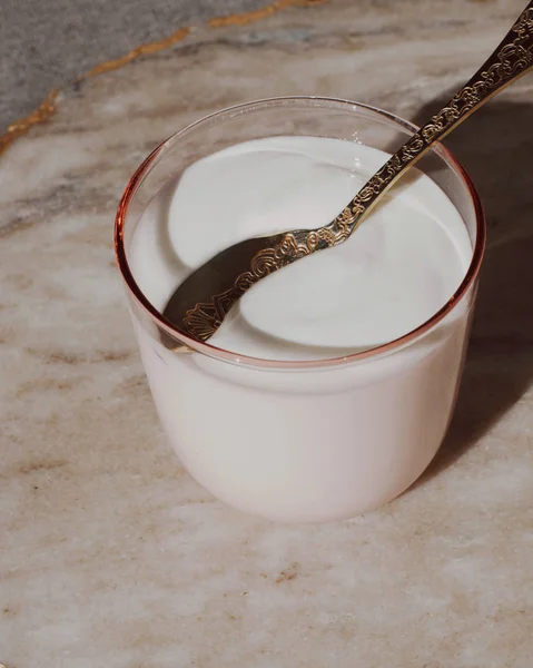 乳制品和乡村农场食品风格的概念 新鲜奶油白色酸奶 — 图库照片