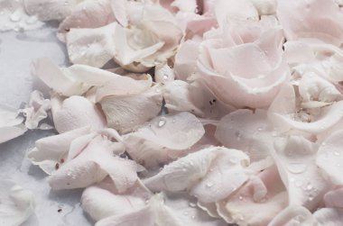 gül çiçek yaprakları üzerinde mermer - düğün, tatil ve çiçek bahçesi kavramı tarz