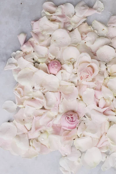 gül çiçek yaprakları üzerinde mermer - düğün, tatil ve çiçek bahçesi kavramı tarz