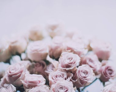 gül çiçek buketi - düğün, tatil ve çiçek Bahçe tasarımlı kavram, zarif görseller