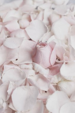 gül çiçek yaprakları üzerinde mermer - düğün, tatil ve çiçek Bahçe tasarımlı kavram, zarif görseller