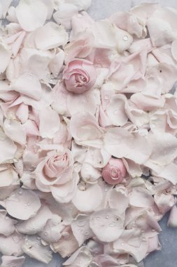 gül çiçek yaprakları üzerinde mermer - düğün, tatil ve çiçek Bahçe tasarımlı kavram, zarif görseller