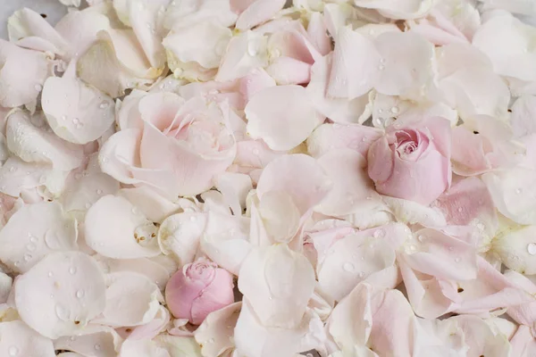 rose flower petals on marble - wedding, holiday and floral garden styled concept, elegant visuals