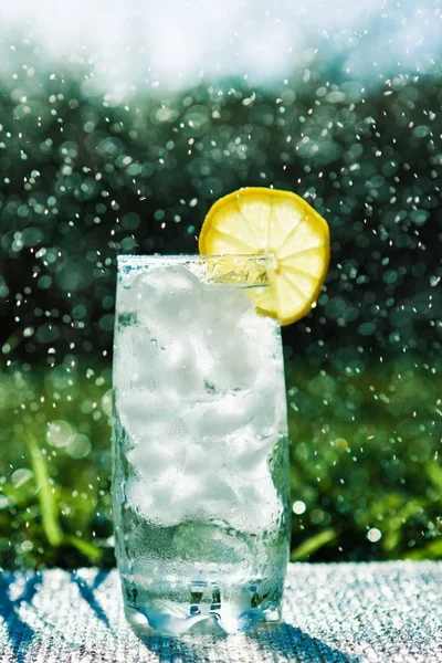 Bebidas Coquetéis Conceito Estilo Celebração Coquetel Limão Grama Piquenique Verão — Fotografia de Stock