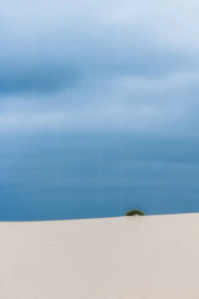 Wilde Woestijn Schoonheid Natuur Landschappen Milieu Concept Elegante Visuals — Stockfoto