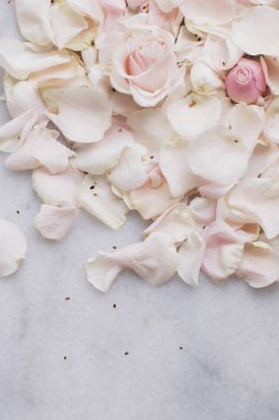 gül çiçek yaprakları üzerinde mermer - düğün, tatil ve çiçek Bahçe tasarımlı kavram, zarif görseller