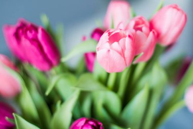 lale buketi - düğün, tatil ve çiçek bahçesi kavramı, zarif görsel tarz