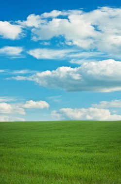 bahar Manzara Manzara - Doğa, Doğa ve çevre kavramı, zarif görsel güzellik