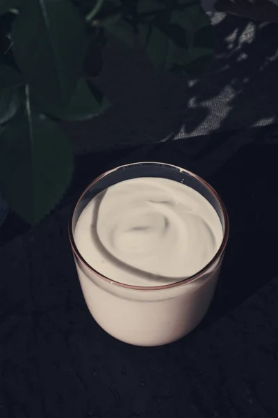 Concept Ferme Laitière Rustique Yaourt Blanc Crémeux Frais Visuels Élégants — Photo