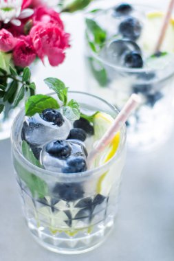 ev partisi - içecekler, kokteyller ve kutlama içmeye kavramı, zarif görsel tarz