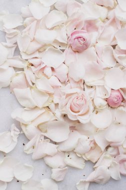 gül çiçek yaprakları üzerinde mermer - düğün, tatil ve çiçek Bahçe tasarımlı kavram, zarif görseller