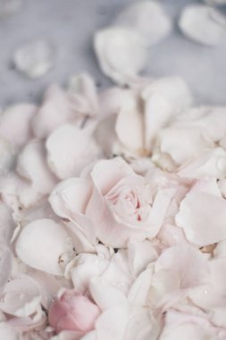 gül çiçek yaprakları üzerinde mermer - düğün, tatil ve çiçek Bahçe tasarımlı kavram, zarif görseller