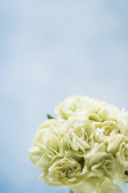 gül buket dekorasyonu - düğün, tatil ve çiçek Bahçe tasarımlı kavram, zarif görseller