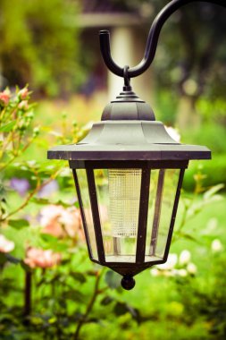 yeşil bahar bahçe - bitkiler, çevre ve Bahçe tasarımlı kavram, zarif görseller