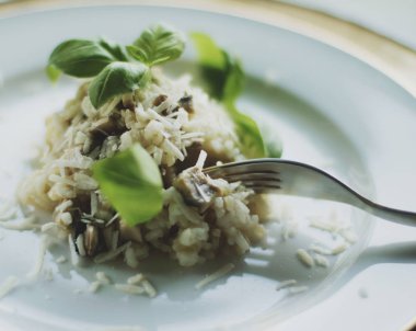 Avrupa ve Akdeniz yemekleri kavramı - mantarlı risotto tarifi, zarif görsel tarz