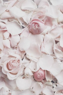 gül çiçek yaprakları üzerinde mermer - düğün, tatil ve çiçek Bahçe tasarımlı kavram, zarif görseller