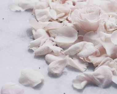 gül çiçek yaprakları üzerinde mermer - düğün, tatil ve çiçek Bahçe tasarımlı kavram, zarif görseller