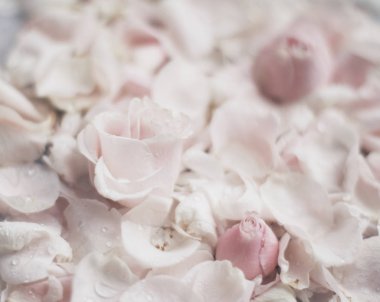 gül çiçek yaprakları üzerinde mermer - düğün, tatil ve çiçek Bahçe tasarımlı kavram, zarif görseller