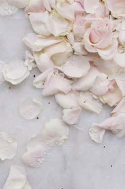 gül çiçek yaprakları üzerinde mermer - düğün, tatil ve çiçek Bahçe tasarımlı kavram, zarif görseller