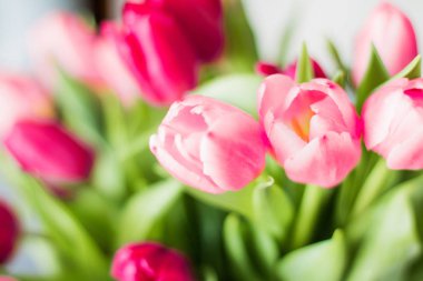 lale buketi - düğün, tatil ve çiçek bahçesi kavramı, zarif görsel tarz