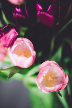 lale buketi - düğün, tatil ve çiçek bahçesi kavramı, zarif görsel tarz