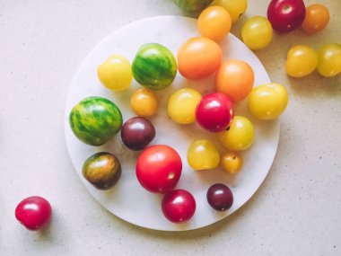 olgun domates - organik sebze ve sağlıklı beslenme kavramı, zarif görsel tarz