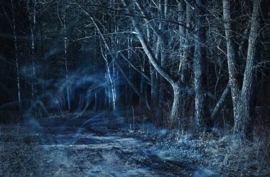 Karanlık Orman - Doğa ve çevre kavramı, zarif görseller