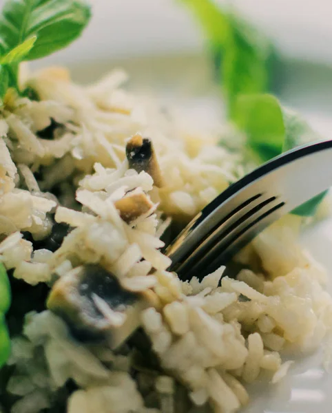 Conceito Cozinha Européia Mediterrânea Estilo Receita Risoto Cogumelos Visuais Elegantes — Fotografia de Stock