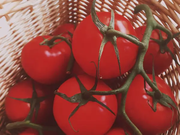 Tomates Maduros Verduras Orgánicas Comer Sano Concepto Estilo Imágenes Elegantes —  Fotos de Stock