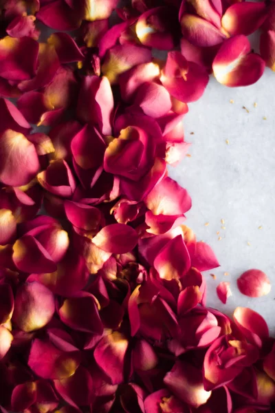 Pétales Rose Sur Marbre Flatlay Mariage Vacances Fond Floral Concept — Photo