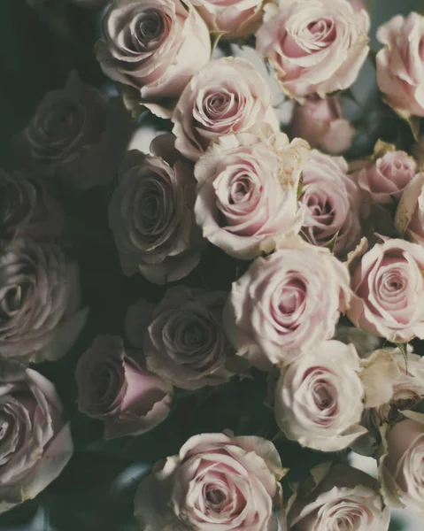 玫瑰花花束 节日和花卉花园风格的概念 优雅的视觉效果 图库照片