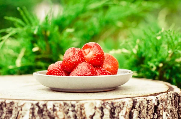 Strawberries Garden Fresh Fruits Healthy Eating Styled Concept Elegant Visuals — Stock Photo, Image