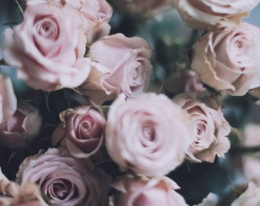 gül çiçek buketi - düğün, tatil ve çiçek Bahçe tasarımlı kavram, zarif görseller