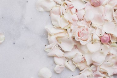 gül çiçek yaprakları üzerinde mermer - düğün, tatil ve çiçek Bahçe tasarımlı kavram, zarif görseller