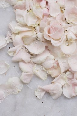 gül çiçek yaprakları üzerinde mermer - düğün, tatil ve çiçek Bahçe tasarımlı kavram, zarif görseller