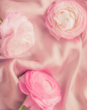yumuşak ipek - pembe gül çiçek düğün, tatil ve çiçek arka plan tarz kavramı, zarif görseller